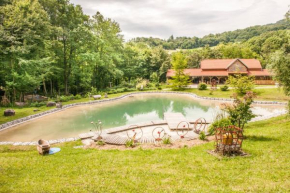 Country house with a pool in Medvednica Nature Park